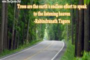 Rabindranath Tagore Quotes