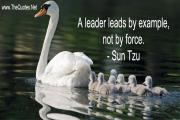 Sun Tzu Quote about Leader