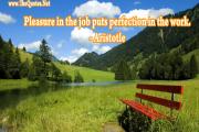 Aristotle Pleasure Quote