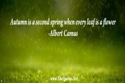 Albert Camus Quote