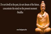 Buddha Quote