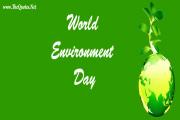 Environment Day