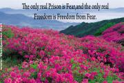 Freedom and Fear