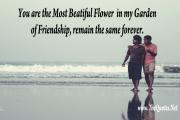 Friendship Quotes