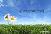 Life with Friend