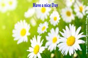 Have a nice Day