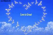 Love is Great