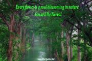 Gerard De Nerval Quote