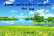 Albert Camus Quote