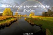 Albert Camus Quote