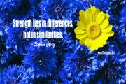 Stephen Covey Quotes