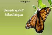 William Shakespeare Quote