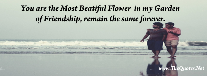 Facebook Cover Image Friendship Quotes Thequotes Net