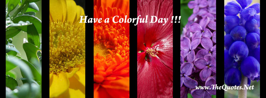 Facebook Cover Image - Images in 'Holi' Tag - TheQuotes.Net