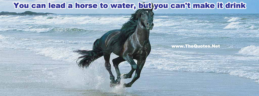 Facebook Cover Image - Images in 'Horse' Tag - TheQuotes.Net